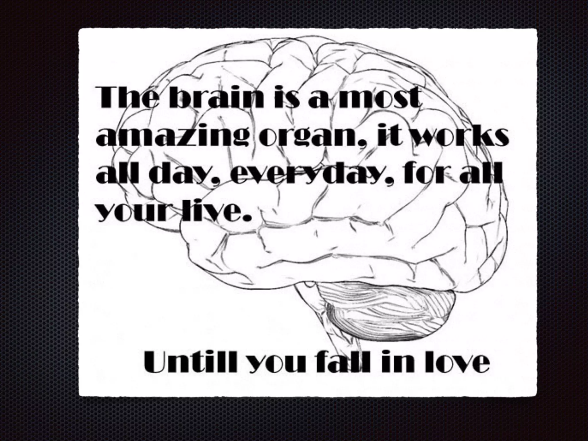 Chapter 8  nervous system