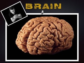 B R A I N
 