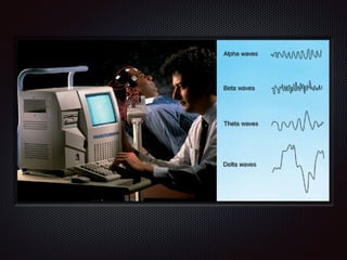 Chapter 8  nervous system
