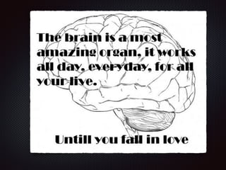 Chapter 8  nervous system