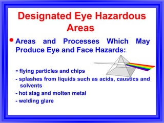 Visual System Hazard Chapter 8 - PPE & Safety Signals and Signs.pptx