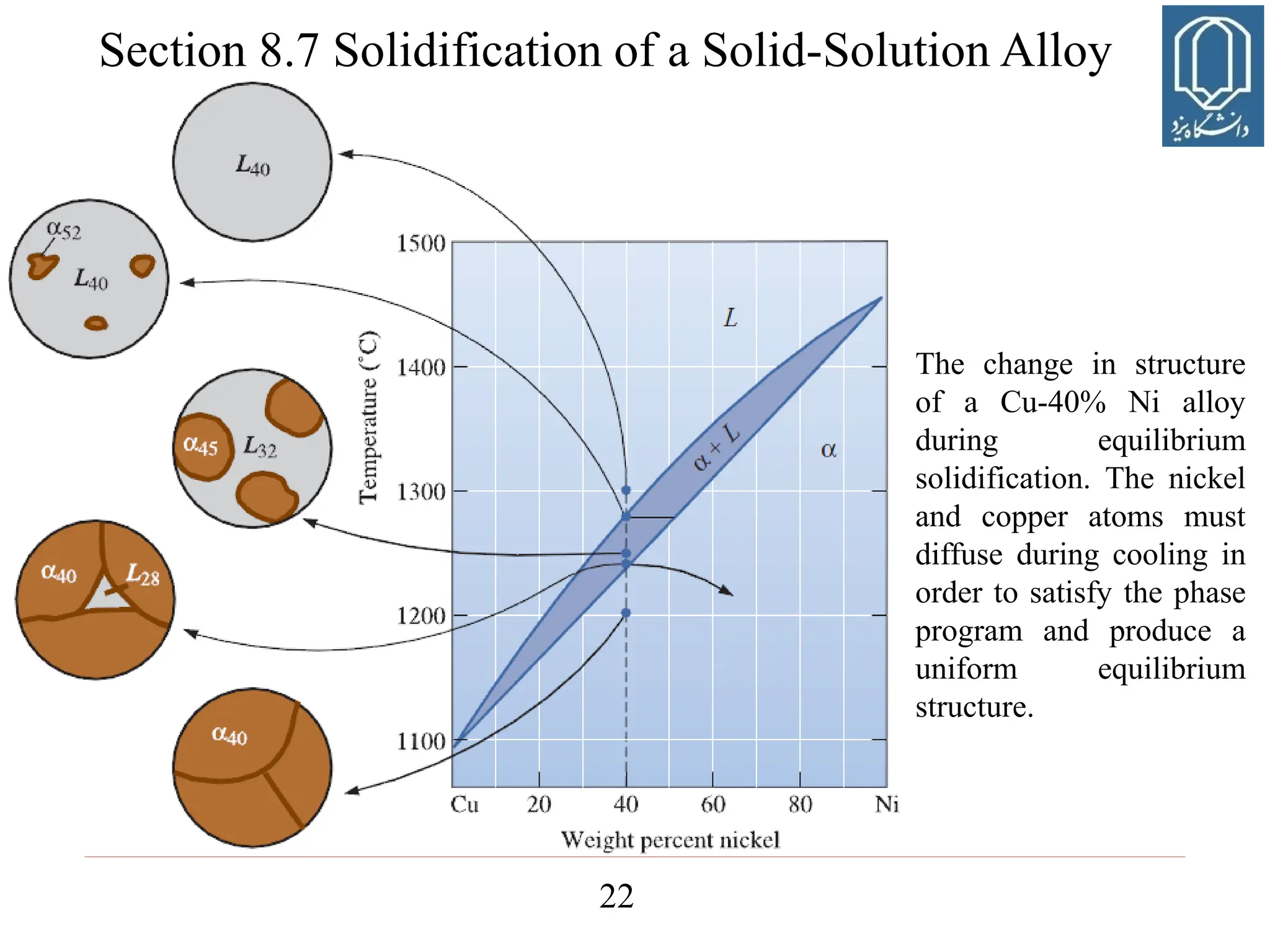 22
The change in structure
of a Cu-40% Ni alloy
during equilibrium
solidification. The nickel
and copper atoms must
diffuse during cooling in
order to satisfy the phase
program and produce a
uniform equilibrium
structure.
Section 8.7 Solidification of a Solid-Solution Alloy
 