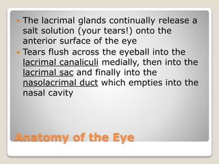 Anatomy of the Eye
 The lacrimal glands continually release a
salt solution (your tears!) onto the
anterior surface of the eye
 Tears flush across the eyeball into the
lacrimal canaliculi medially, then into the
lacrimal sac and finally into the
nasolacrimal duct which empties into the
nasal cavity
 