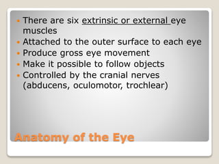 Anatomy of the Eye
 There are six extrinsic or external eye
muscles
 Attached to the outer surface to each eye
 Produce gross eye movement
 Make it possible to follow objects
 Controlled by the cranial nerves
(abducens, oculomotor, trochlear)
 