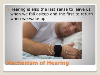 Mechanism of Hearing
 Hearing is also the last sense to leave us
when we fall asleep and the first to return
when we wake up
 