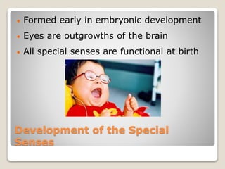 Development of the Special
Senses
 Formed early in embryonic development
 Eyes are outgrowths of the brain
 All special senses are functional at birth
 