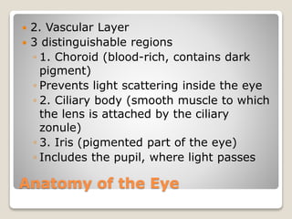 Anatomy of the Eye
 2. Vascular Layer
 3 distinguishable regions
◦ 1. Choroid (blood-rich, contains dark
pigment)
◦ Prevents light scattering inside the eye
◦ 2. Ciliary body (smooth muscle to which
the lens is attached by the ciliary
zonule)
◦ 3. Iris (pigmented part of the eye)
◦ Includes the pupil, where light passes
 