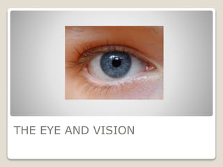 THE EYE AND VISION
 