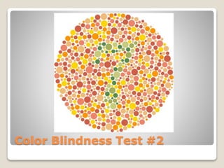 Color Blindness Test #2
 