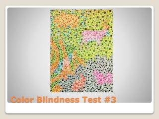 Color Blindness Test #3
 