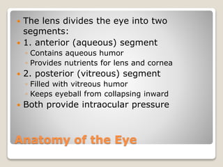 Anatomy of the Eye
 The lens divides the eye into two
segments:
 1. anterior (aqueous) segment
◦ Contains aqueous humor
◦ Provides nutrients for lens and cornea
 2. posterior (vitreous) segment
◦ Filled with vitreous humor
◦ Keeps eyeball from collapsing inward
 Both provide intraocular pressure
 