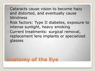 Anatomy of the Eye
 Cataracts cause vision to become hazy
and distorted, and eventually cause
blindness
 Risk factors: Type II diabetes, exposure to
intense sunlight, heavy smoking
 Current treatments: surgical removal,
replacement lens implants or specialized
glasses
 