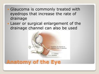 Anatomy of the Eye
 Glaucoma is commonly treated with
eyedrops that increase the rate of
drainage
 Laser or surgical enlargement of the
drainage channel can also be used
 