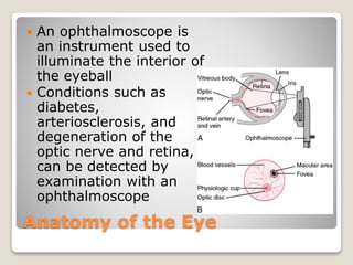 Anatomy of the Eye
 An ophthalmoscope is
an instrument used to
illuminate the interior of
the eyeball
 Conditions such as
diabetes,
arteriosclerosis, and
degeneration of the
optic nerve and retina,
can be detected by
examination with an
ophthalmoscope
 