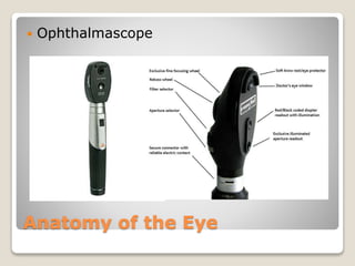 Anatomy of the Eye
 Ophthalmascope
 