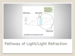 Pathway of Light/Light Refraction
 