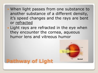 Pathway of Light
 When light passes from one substance to
another substance of a different density,
it’s speed changes and the rays are bent
or refracted
 Light rays are refracted in the eye when
they encounter the cornea, aqueous
humor lens and vitreous humor
 