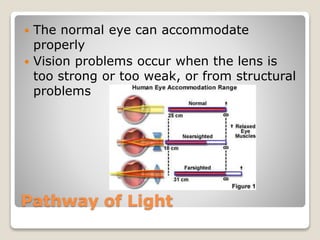 Pathway of Light
 The normal eye can accommodate
properly
 Vision problems occur when the lens is
too strong or too weak, or from structural
problems
 