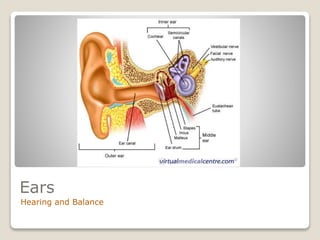Ears
Hearing and Balance
 