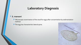 Laboratory Diagnosis
• S. mansoni
➢Microscopic examination of the stool for eggs after concentration by sedimentation
method.
➢The egg has characteristic lateral spine.
 