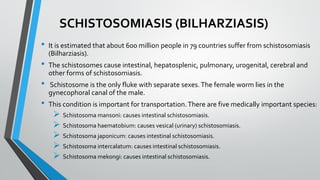 SCHISTOSOMIASIS (BILHARZIASIS)
• It is estimated that about 600 million people in 79 countries suffer from schistosomiasis
(Bilharziasis).
• The schistosomes cause intestinal, hepatosplenic, pulmonary, urogenital, cerebral and
other forms of schistosomiasis.
• Schistosome is the only fluke with separate sexes.The female worm lies in the
gynecophoral canal of the male.
• This condition is important for transportation.There are five medically important species:
➢ Schistosoma mansoni: causes intestinal schistosomiasis.
➢ Schistosoma haematobium: causes vesical (urinary) schistosomiasis.
➢ Schistosoma japonicum: causes intestinal schistosomiasis.
➢ Schistosoma intercalatum: causes intestinal schistosomiasis.
➢ Schistosoma mekongi: causes intestinal schistosomiasis.
 