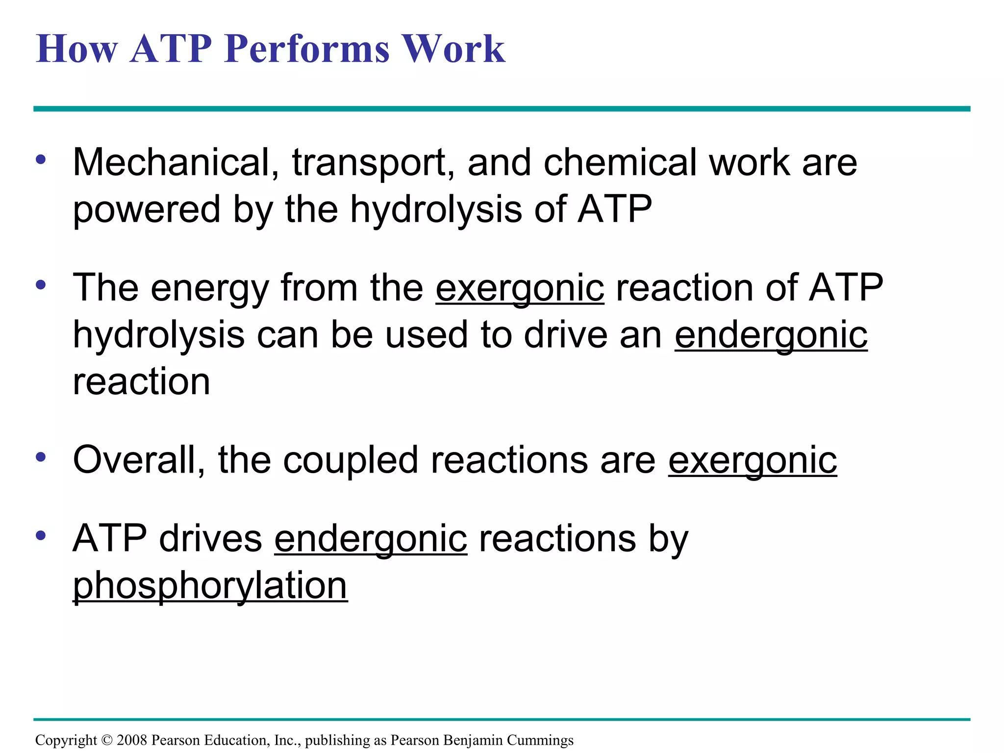 How ATP Performs Work

• Mechanical, transport, and chemical work are
  powered by the hydrolysis of ATP
• The energy from the exergonic reaction of ATP
  hydrolysis can be used to drive an endergonic
  reaction
• Overall, the coupled reactions are exergonic

• ATP drives endergonic reactions by
  phosphorylation


Copyright © 2008 Pearson Education, Inc., publishing as Pearson Benjamin Cummings
 