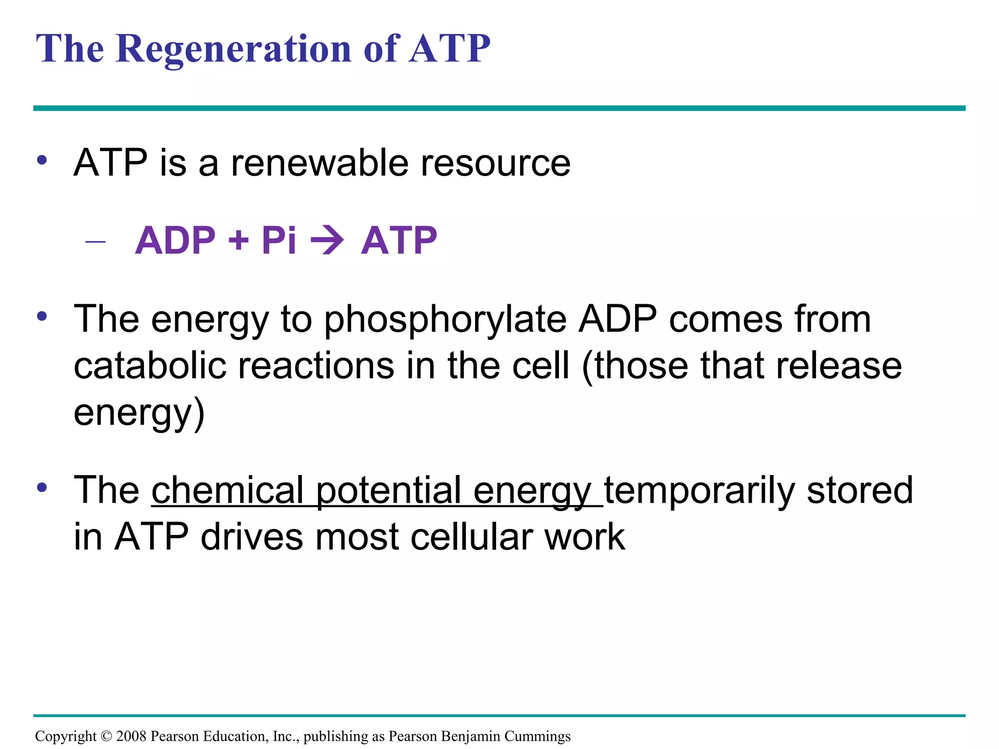The Regeneration of ATP

• ATP is a renewable resource

       – ADP + Pi  ATP

• The energy to phosphorylate ADP comes from
  catabolic reactions in the cell (those that release
  energy)
• The chemical potential energy temporarily stored
  in ATP drives most cellular work



Copyright © 2008 Pearson Education, Inc., publishing as Pearson Benjamin Cummings
 