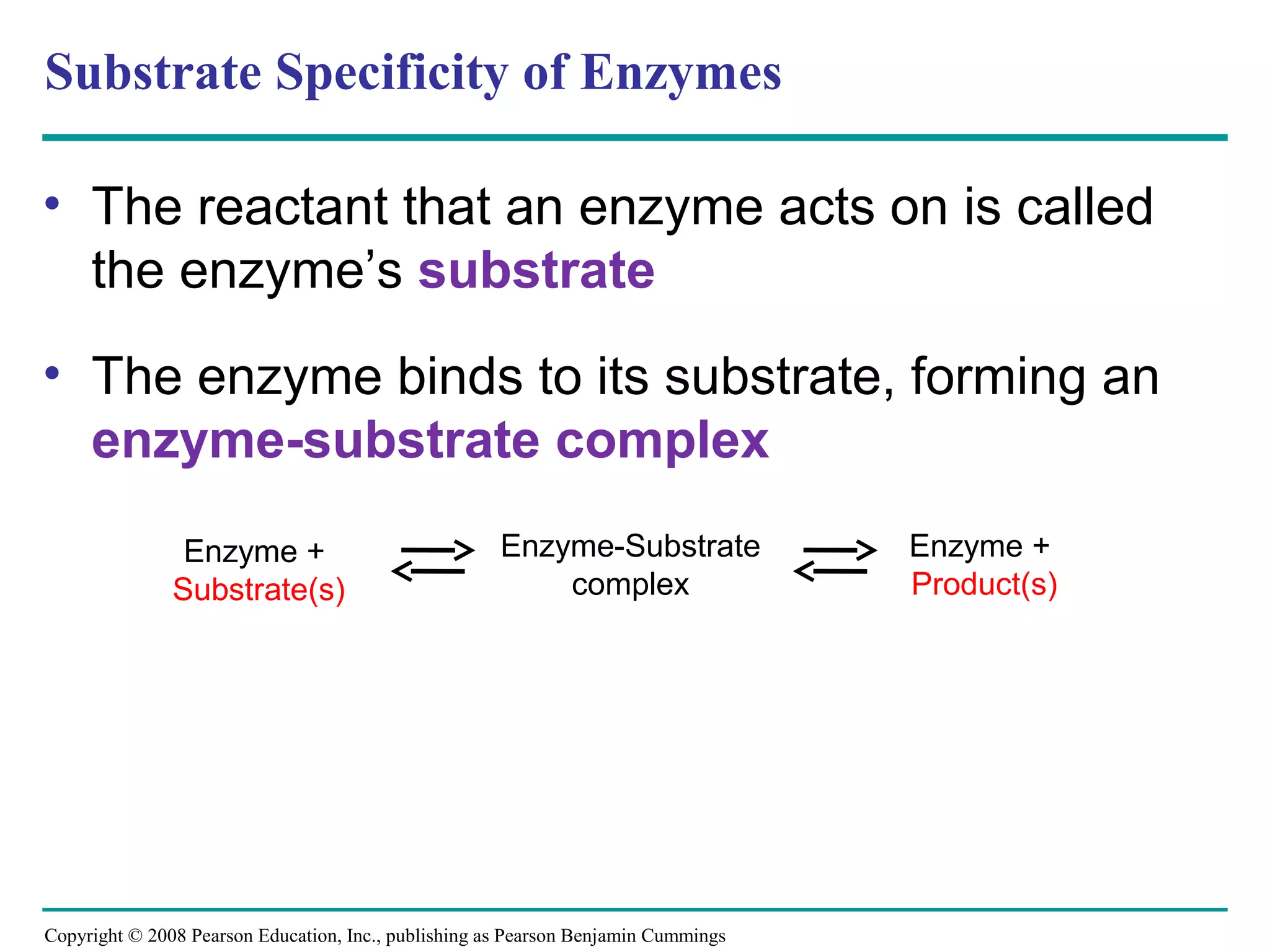 Substrate Specificity of Enzymes

• The reactant that an enzyme acts on is called
  the enzyme’s substrate
• The enzyme binds to its substrate, forming an
  enzyme-substrate complex
                Enzyme +                              Enzyme-Substrate              Enzyme +
               Substrate(s)                               complex                   Product(s)




Copyright © 2008 Pearson Education, Inc., publishing as Pearson Benjamin Cummings
 