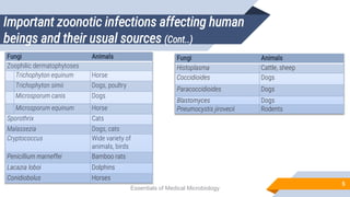 chapter 81 - Zoonotic infections.pptx