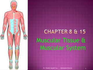 Muscular Tissue &
 Muscular System


  Dr. Fedeliz Sandil-Tuy   Biological Science   1
 