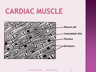 Dr. Fedeliz Sandil-Tuy   Biological Science   12
 