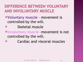 Voluntary   muscle – movement is
  controlled by the will.
       Skeletal muscle
Involuntary muscle –movement is not
  controlled by the will.
       Cardiac and visceral muscles



          Dr. Fedeliz Sandil-Tuy   Biological Science   14
 