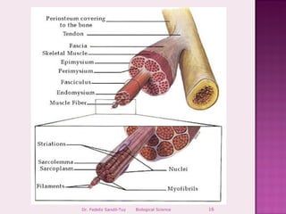 Dr. Fedeliz Sandil-Tuy   Biological Science   16
 