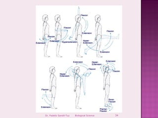 Dr. Fedeliz Sandil-Tuy   Biological Science   34
 