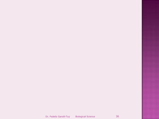 Dr. Fedeliz Sandil-Tuy   Biological Science   36
 