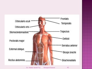 Dr. Fedeliz Sandil-Tuy   Biological Science   42
 