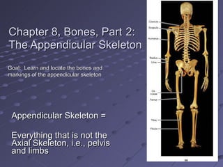 Chapter 8, Bones, Part   2:  The Appendicular Skeleton Appendicular Skeleton = Everything that is not the Axial Skeleton, i.e., pelvis and limbs Goal:  Learn and locate the bones and markings of the appendicular skeleton 