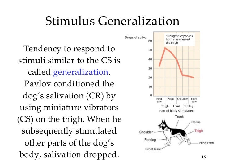chapter 8 ap psych learning stimulus generalization