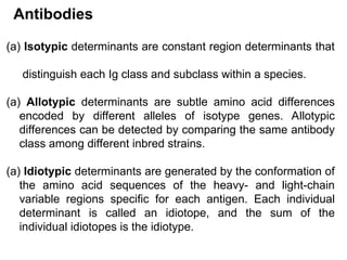 (a) Isotypic determinants are constant region determinants that
distinguish each Ig class and subclass within a species.
(a) Allotypic determinants are subtle amino acid differences
encoded by different alleles of isotype genes. Allotypic
differences can be detected by comparing the same antibody
class among different inbred strains.
(a) Idiotypic determinants are generated by the conformation of
the amino acid sequences of the heavy- and light-chain
variable regions specific for each antigen. Each individual
determinant is called an idiotope, and the sum of the
individual idiotopes is the idiotype.
Antibodies
 