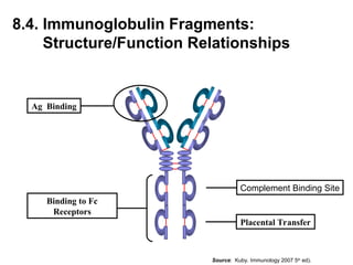 Ag Binding
Complement Binding Site
Placental Transfer
Binding to Fc
Receptors
8.4. Immunoglobulin Fragments:
Structure/Function Relationships
Source: Kuby. Immunology 2007 5th
ed).
 