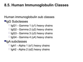Human immunoglobulin sub classes
IgG Subclasses
 IgG1 - Gamma 1 (γ1) heavy chains
 IgG2 - Gamma 2 (γ2) heavy chains
 IgG3 - Gamma 3 (γ3) heavy chains
 IgG4 - Gamma 4 (γ4) heavy chains
IgA subclasses
 IgA1 - Alpha 1 (α1) heavy chains
 IgA2 - Alpha 2 (α2) heavy chains
8.5. Human Immunoglobulin Classes
 