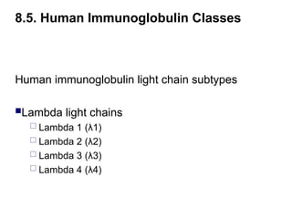 Human immunoglobulin light chain subtypes
Lambda light chains
 Lambda 1 (λ1)
 Lambda 2 (λ2)
 Lambda 3 (λ3)
 Lambda 4 (λ4)
8.5. Human Immunoglobulin Classes
 