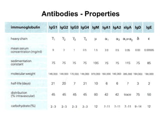 Antibodies - Properties
 