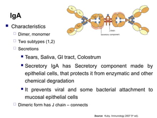  Characteristics
 Dimer, monomer
 Two subtypes (1,2)
 Secretions
 Tears, Saliva, GI tract, Colostrum
 Secretory IgA has Secretory component made by
epithelial cells, that protects it from enzymatic and other
chemical degradation
 It prevents viral and some bacterial attachment to
mucosal epithelial cells
 Dimeric form has J chain – connects
IgA
Source: Kuby. Immunology 2007 5th
ed).
 