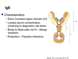  Characteristics
 Extra Constant region domain (C4)
 Lowest serum concentration
(meaning to diagnostic Lab tests)
 Binds to Mast cells via Fc - Allergic
reactions
 Protection - Parasitic infections
IgE
Source: Kuby. Immunology 2007 5th
ed).
 
