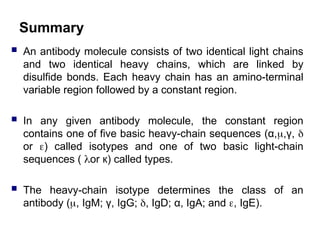 Summary
 An antibody molecule consists of two identical light chains
and two identical heavy chains, which are linked by
disulfide bonds. Each heavy chain has an amino-terminal
variable region followed by a constant region.
 In any given antibody molecule, the constant region
contains one of five basic heavy-chain sequences (α,,γ, 
or ) called isotypes and one of two basic light-chain
sequences ( or к) called types.
 The heavy-chain isotype determines the class of an
antibody (, IgM; γ, IgG; , IgD; α, IgA; and , IgE).
 
