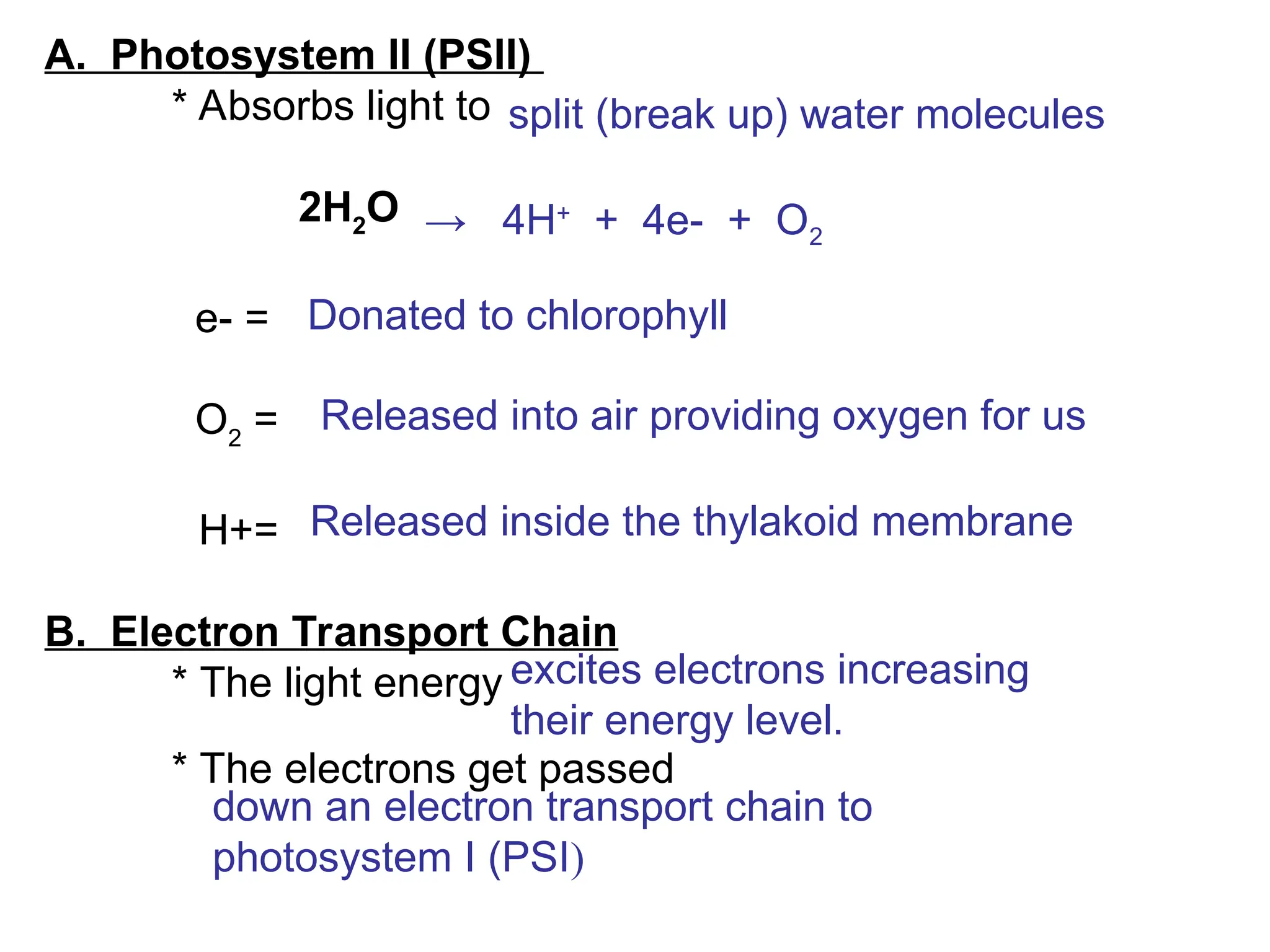 CHAPTER 8 Biology photosynthesis and process.ppt