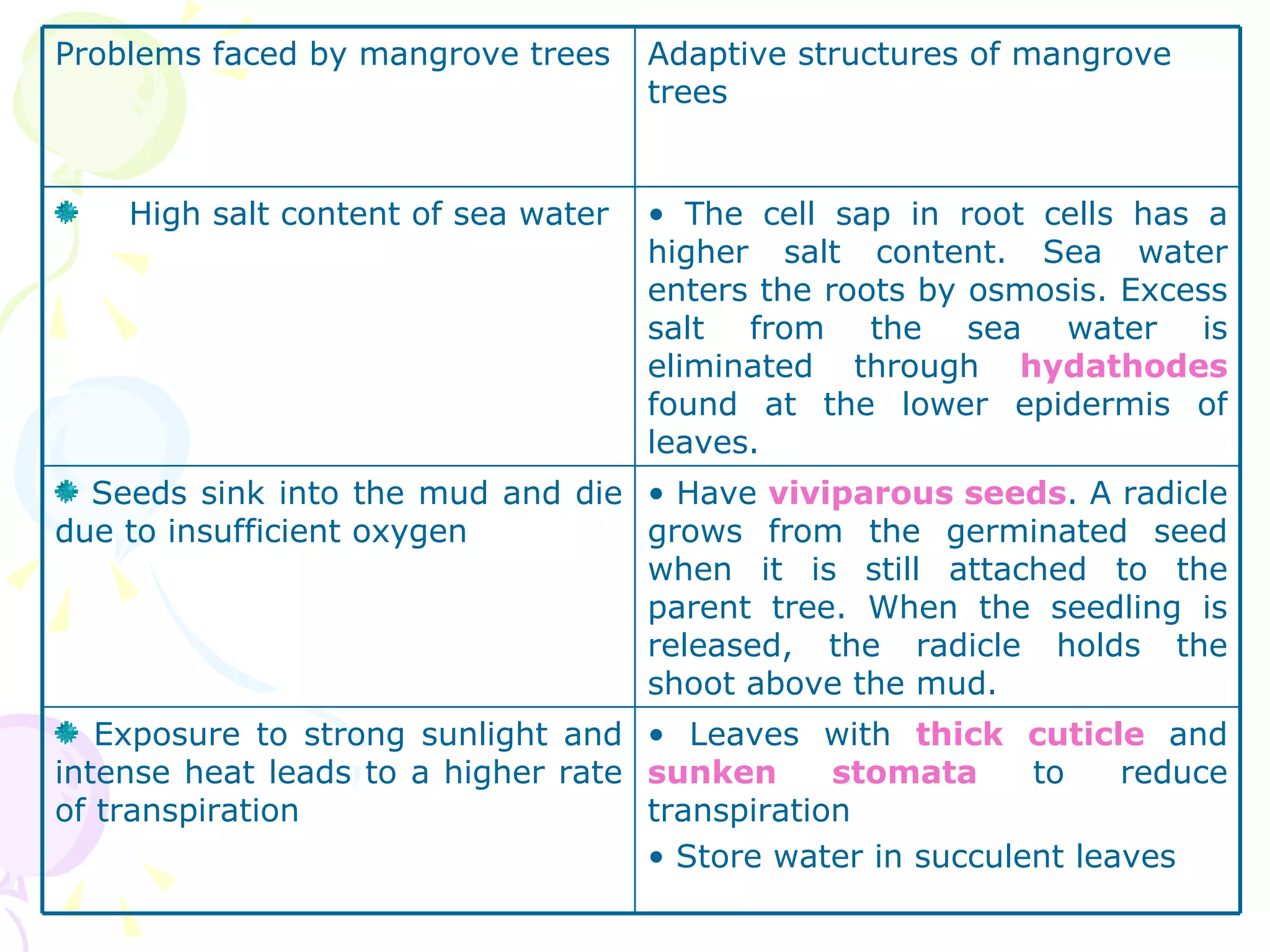 Problems faced by mangrove trees Adaptive structures of mangrove trees High salt content of sea water  The cell sap in root cells has a higher salt content. Sea water enters the roots by osmosis. Excess salt from the sea water is eliminated through  hydathodes  found at the lower epidermis of leaves. Seeds sink into the mud and die due to insufficient oxygen Have  viviparous seeds . A radicle grows from the germinated seed when it is still attached to the parent tree. When the seedling is released, the radicle holds the shoot above the mud.  Exposure to strong sunlight and intense heat leads to a higher rate of transpiration Leaves with  thick cuticle  and  sunken stomata  to reduce transpiration Store water in succulent leaves  