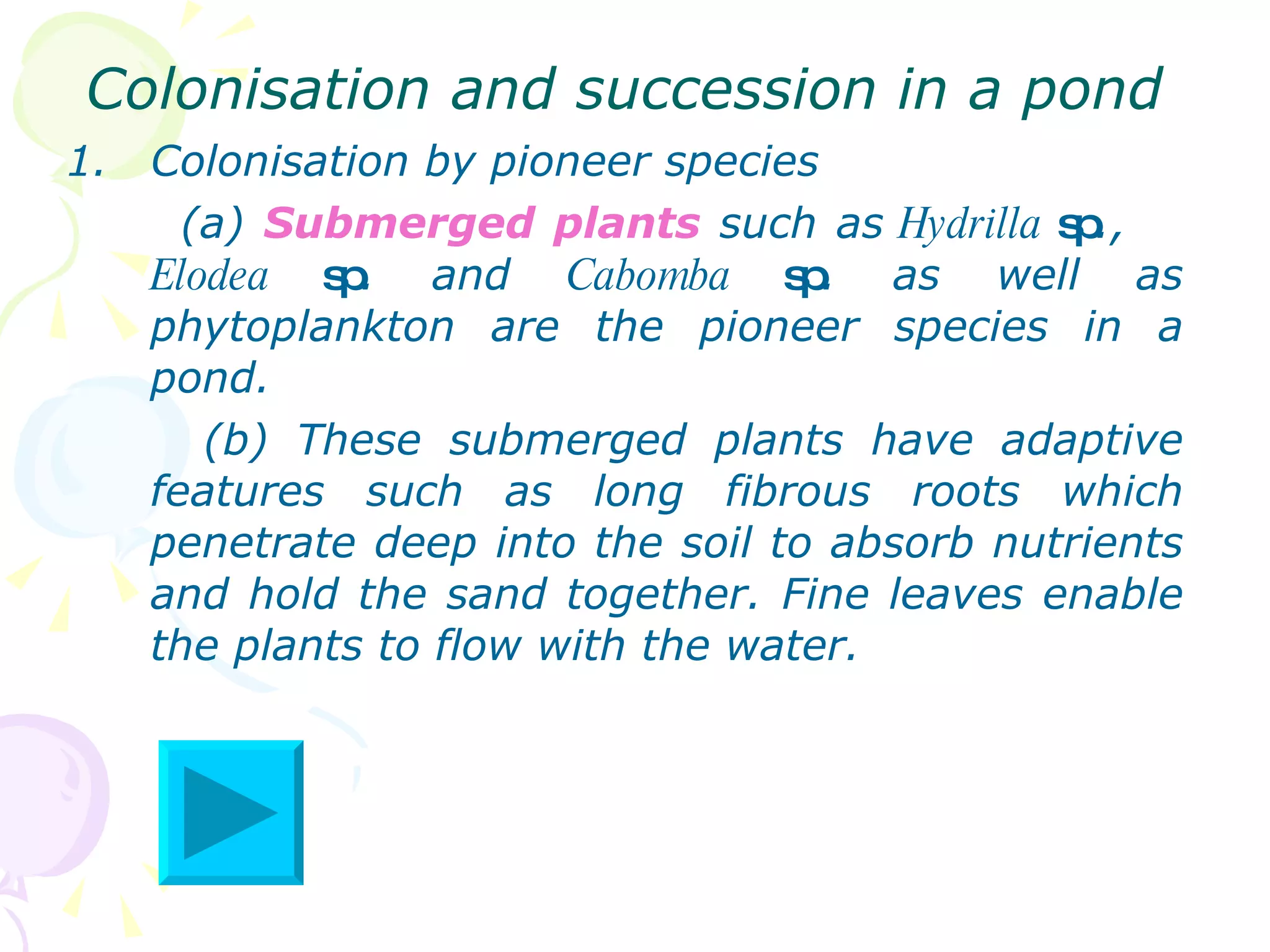 Colonisation and succession in a pond  Colonisation by pioneer species (a)  Submerged plants  such as  Hydrilla  sp .,  Elodea  sp . and  Cabomba  sp . as well as phytoplankton are the pioneer species in a pond. (b) These submerged plants have adaptive features such as long fibrous roots which penetrate deep into the soil to absorb nutrients and hold the sand together. Fine leaves enable the plants to flow with the water.  
