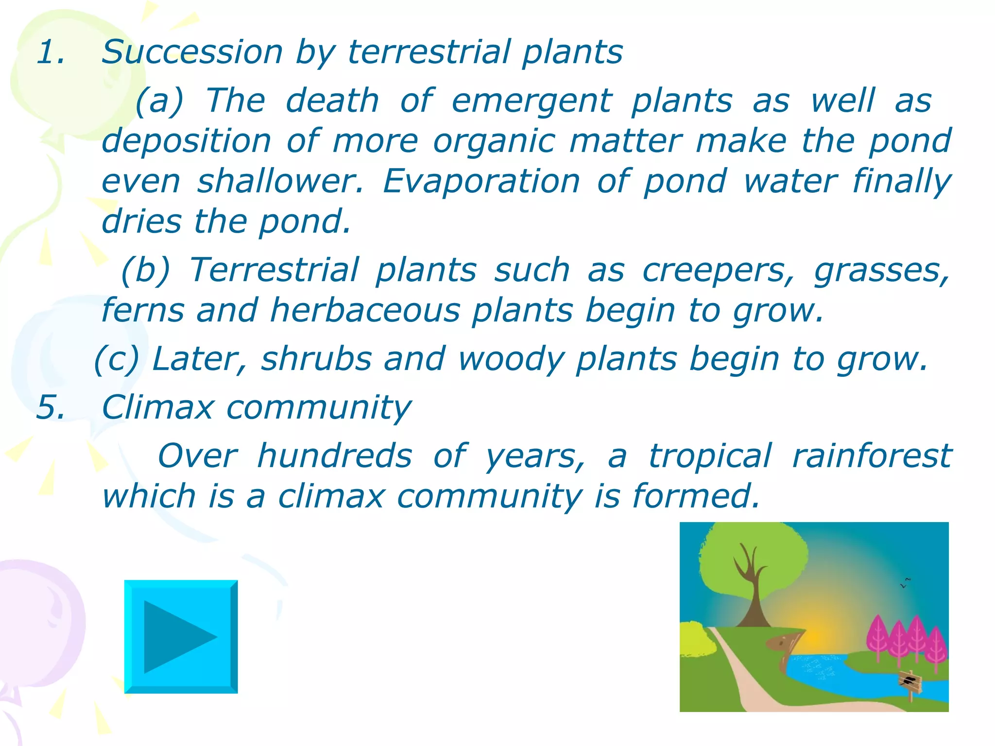 Succession by terrestrial plants  (a) The death of emergent plants as well as  deposition of more organic matter make the pond even shallower. Evaporation of pond water finally dries the pond. (b) Terrestrial plants such as creepers, grasses, ferns and herbaceous plants begin to grow. (c) Later, shrubs and woody plants begin to grow. Climax community  Over hundreds of years, a tropical rainforest which is a climax community is formed. 